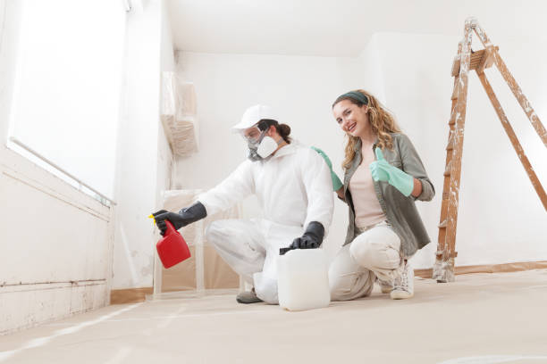 Trusted Brentwood, TN Mold Removal Experts